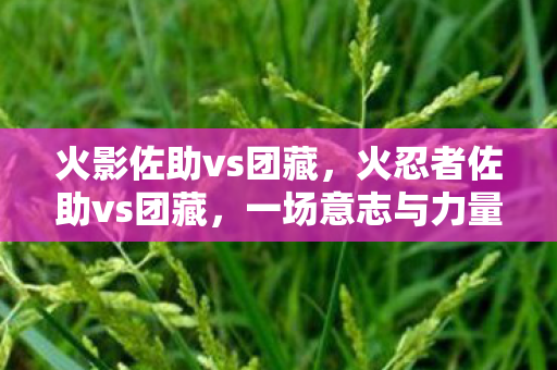 火影佐助vs团藏，火忍者佐助vs团藏，一场意志与力量的较量