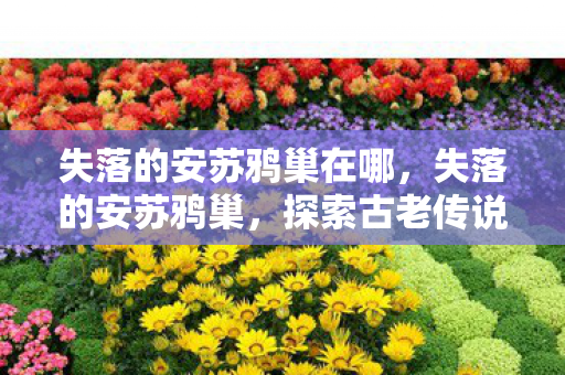 失落的安苏鸦巢在哪，失落的安苏鸦巢，探索古老传说中的神秘之地