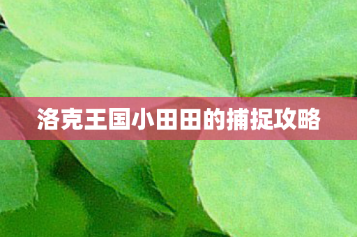 洛克王国小田田的捕捉攻略 洛克王国小田田的捕捉攻略
