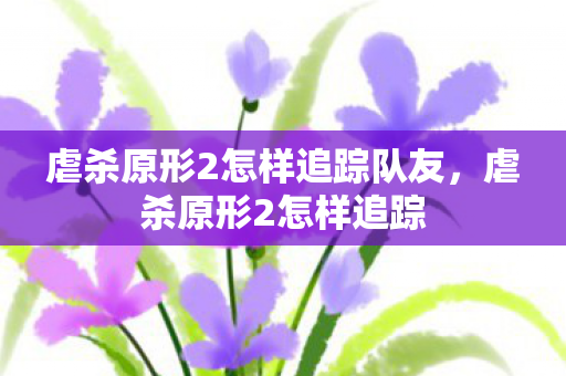 虐杀原形2怎样追踪队友，虐杀原形2怎样追踪
