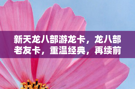 新天龙八部游龙卡，龙八部老友卡，重温经典，再续前缘