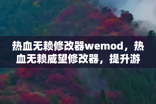 热血无赖修改器wemod，热血无赖威望修改器，提升游戏乐趣的合法途径