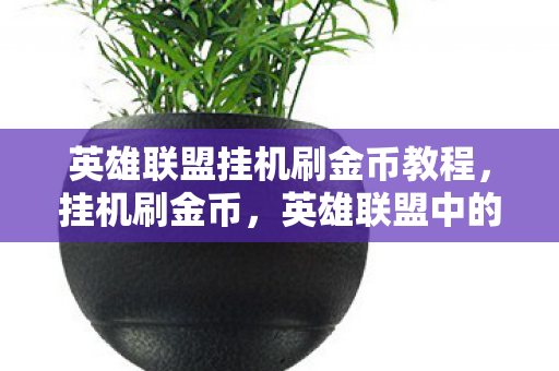 英雄联盟挂机刷金币教程，挂机刷金币，英雄联盟中的另类致富之路