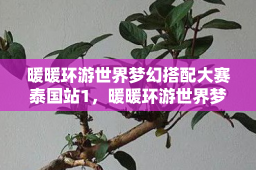 暖暖环游世界梦幻搭配大赛泰国站1，暖暖环游世界梦幻搭配大赛，时尚与创意的盛宴