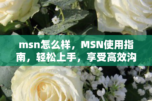 msn怎么样，MSN使用指南，轻松上手，享受高效沟通