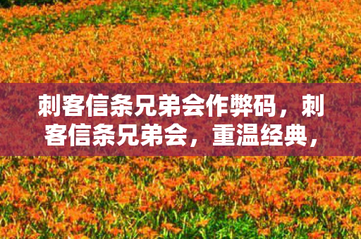 刺客信条兄弟会作弊码，刺客信条兄弟会，重温经典，探索历史与自由的交汇