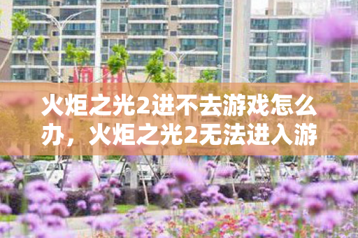 火炬之光2进不去游戏怎么办，火炬之光2无法进入游戏的解决方法