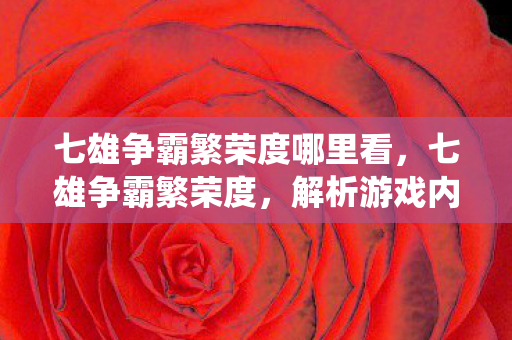 七雄争霸繁荣度哪里看，七雄争霸繁荣度，解析游戏内经济系统的奥秘