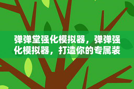 弹弹堂强化模拟器，弹弹强化模拟器，打造你的专属装备，提升战斗实力