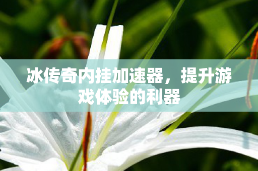 冰传奇内挂加速器，提升游戏体验的利器