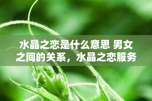 水晶之恋是什么意思 男女之间的关系，水晶之恋服务，探索数字时代的情感连接新方式