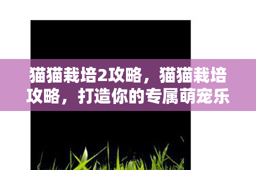 猫猫栽培2攻略，猫猫栽培攻略，打造你的专属萌宠乐园