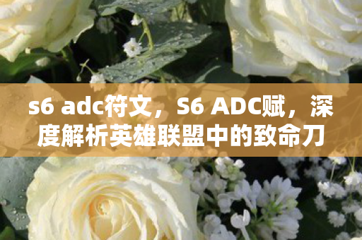 s6 adc符文，S6 ADC赋，深度解析英雄联盟中的致命刀锋