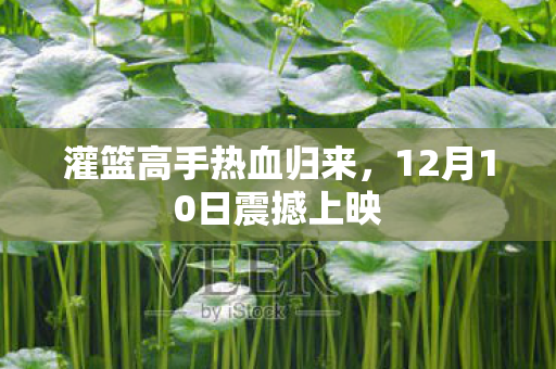 灌篮高手热血归来，12月10日震撼上映