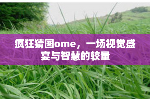 疯狂猜图ome,一场视觉盛宴与智慧的较量 疯狂猜图ome,一场视觉盛宴与智慧的较量