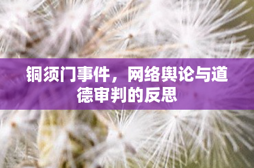铜须门事件，网络舆论与道德审判的反思