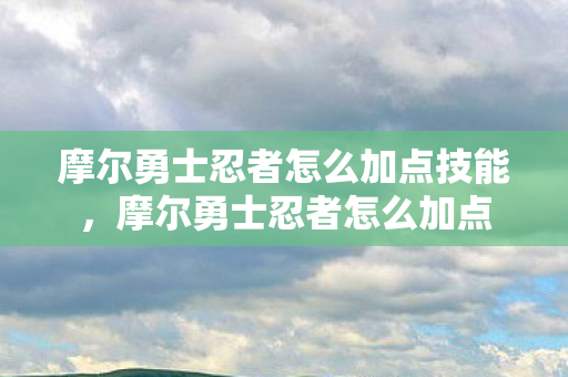 摩尔勇士忍者怎么加点技能，摩尔勇士忍者怎么加点