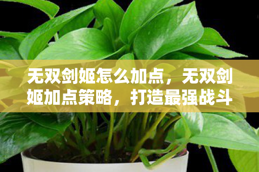 无双剑姬怎么加点，无双剑姬加点策略，打造最强战斗力的关键