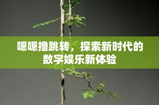 嗯嗯撸跳转，探索新时代的数字娱乐新体验