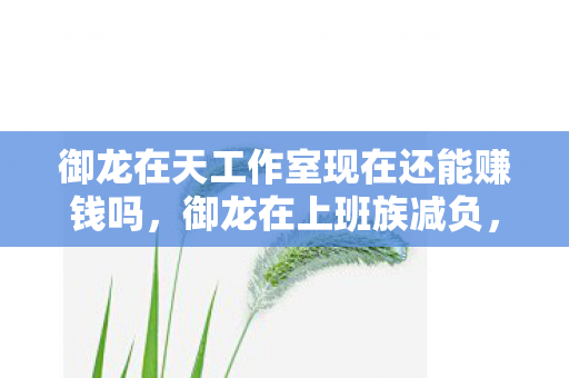 御龙在天工作室现在还能赚钱吗，御龙在上班族减负，重塑工作与生活的平衡