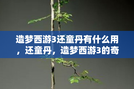 造梦西游3还童丹有什么用，还童丹，造梦西游3的奇幻之旅
