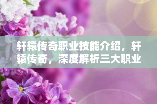 轩辕传奇职业技能介绍，轩辕传奇，深度解析三大职业技能，探寻战斗艺术的奥秘