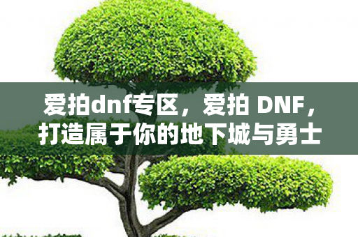 爱拍dnf专区，爱拍 DNF，打造属于你的地下城与勇士直播新体验