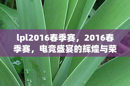lpl2016春季赛，2016春季赛，电竞盛宴的辉煌与荣耀