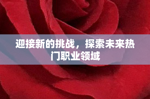 迎接新的挑战，探索未来热门职业领域