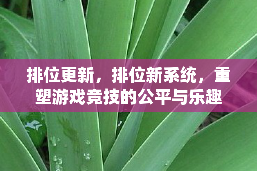 排位更新，排位新系统，重塑游戏竞技的公平与乐趣