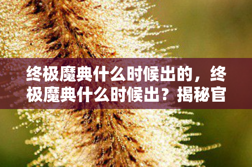 终极魔典什么时候出的，终极魔典什么时候出？揭秘官方发布时间表