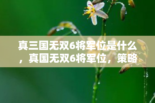 真三国无双6将军位是什么，真国无双6将军位，策略与智慧的碰撞