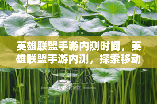 英雄联盟手游内测时间，英雄联盟手游内测，探索移动端的全新游戏体验