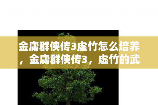 金庸群侠传3虚竹怎么培养，金庸群侠传3，虚竹的武侠世界