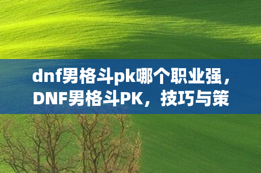 dnf男格斗pk哪个职业强，DNF男格斗PK，技巧与策略的深度剖析