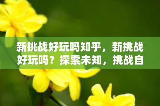 新挑战好玩吗知乎，新挑战好玩吗？探索未知，挑战自我！