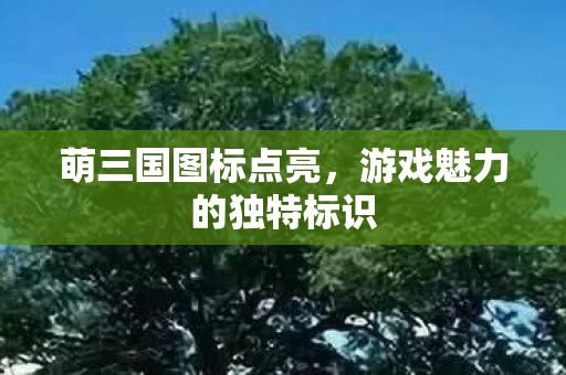 萌三国图标点亮，游戏魅力的独特标识