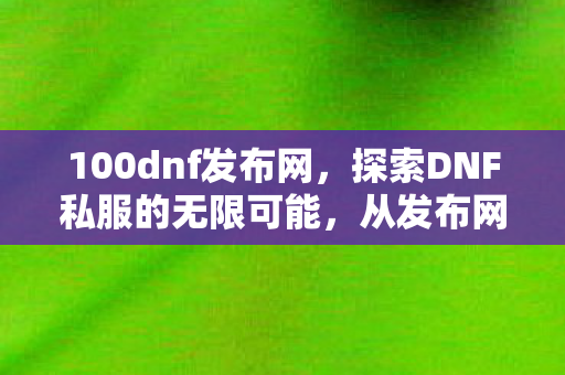 100dnf发布网，探索DNF私服的无限可能，从发布网看游戏新生态