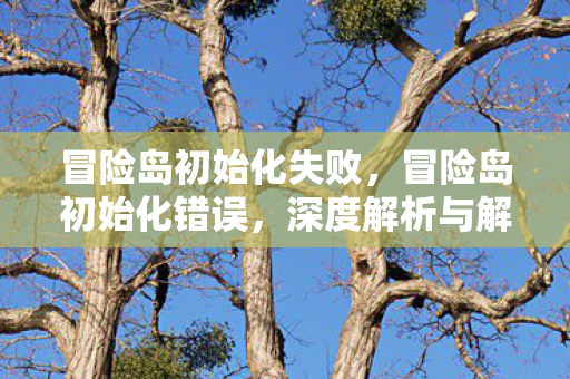 冒险岛初始化失败，冒险岛初始化错误，深度解析与解决之道