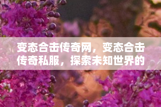 变态合击传奇网，变态合击传奇私服，探索未知世界的奇幻之旅