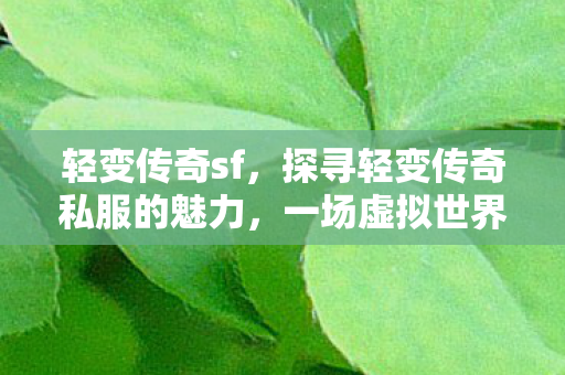 轻变传奇sf，探寻轻变传奇私服的魅力，一场虚拟世界的冒险之旅