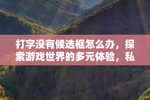 打字没有候选框怎么办，探索游戏世界的多元体验，私服与官方服务器的独特魅力