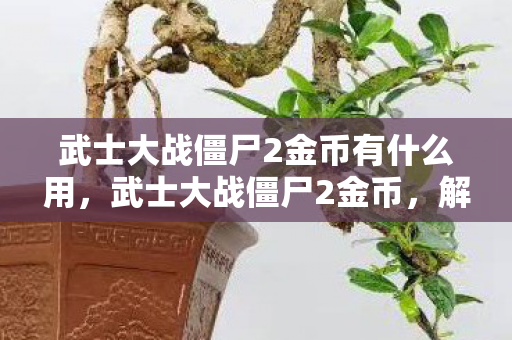 武士大战僵尸2金币有什么用，武士大战僵尸2金币，解锁新战场，挑战无限可能