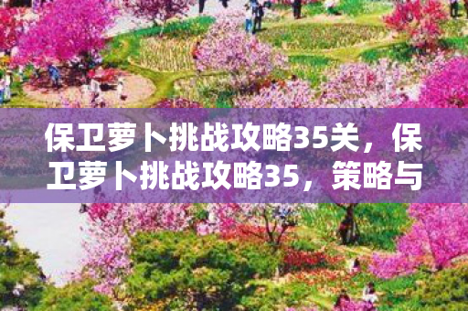 保卫萝卜挑战攻略35关，保卫萝卜挑战攻略35，策略与技巧的深度解析
