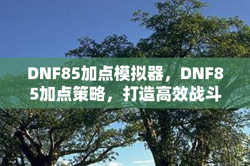 DNF85加点模拟器，DNF85加点策略，打造高效战斗力的关键