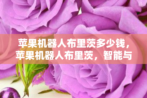 苹果机器人布里茨多少钱，苹果机器人布里茨，智能与创新的融合