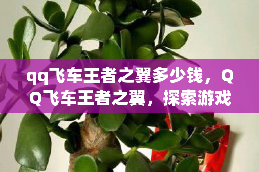 qq飞车王者之翼多少钱，QQ飞车王者之翼，探索游戏世界的无限可能