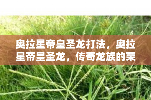 奥拉星帝皇圣龙打法，奥拉星帝皇圣龙，传奇龙族的荣耀与辉煌