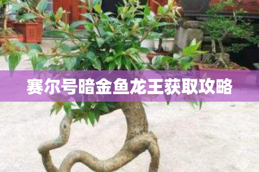 赛尔号暗金鱼龙王获取攻略 赛尔号暗金鱼龙王获取攻略