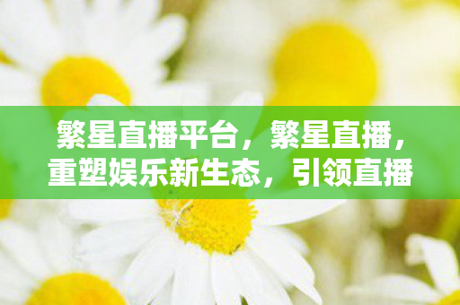 繁星直播平台，繁星直播，重塑娱乐新生态，引领直播新潮流